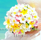 �v�������A�u�[�P